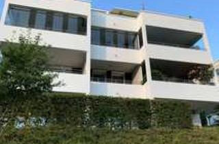 Wohnung mieten in Talstraße 19, 75365 Calw, Stilvolle, neuwertige 1-Zimmer-Wohnung mit luxuriöser Innenausstattung mit Balkon und EBK in Calw