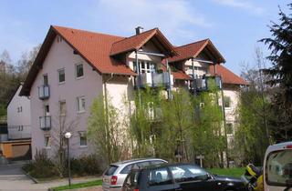 Wohnung mieten in Fohnbachstraße 41, 66976 Rodalben, Moderne, helle u. freundliche Wohnung in Rodalben
