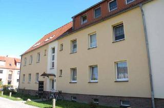 Wohnung mieten in Alte Richtenbergerstr. 36b, 18437 Tribseer Siedlung, Frisch renovierte 3-Raumwohnung in ruhigem Wohnumfeld!