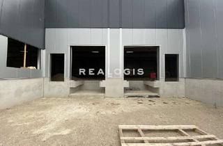 Gewerbeimmobilie mieten in 84453 Mühldorf, ca. 7.000 qm Neubau Lager-/Logistik-/Produktionsfläche zu vermieten, teilbar