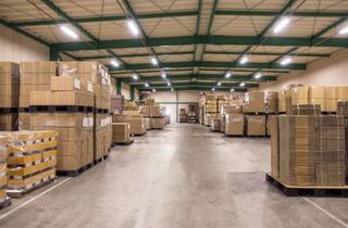 Gewerbeimmobilie mieten in 71272 Renningen, Sofort verfügbare Hallenfläche für Lager oder Produktion