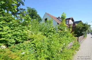 Grundstück zu kaufen in 38518 Gifhorn, Toplage in Gifhorn – Baugrundstück mit genehmigtem Projekt für 6-Parteien-Haus