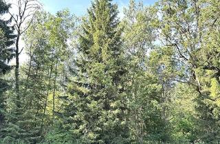 Grundstück zu kaufen in 83043 Bad Aibling, Ideal für Kachelofenbesitzer!