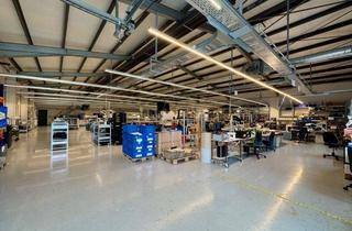 Geschäftslokal mieten in 35606 Solms, ca. 890 m² Produktions-/Lagerfläche + ca. 366 m² Büro in Solms zu vermieten