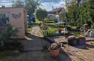 Haus kaufen in 04895 Falkenberg, Falkenberg/Elster - Haus zu Verkaufen