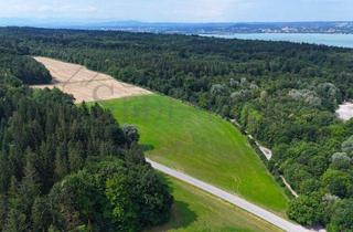 Grundstück zu kaufen in 82211 Herrsching, VERKAUF: Wertstabiles Grünland nahe Herrsching