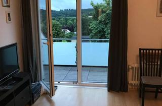 Wohnung mieten in 32683 Barntrup, 2 ZKB Stadtmitte incl. Waldblick in Barntrup