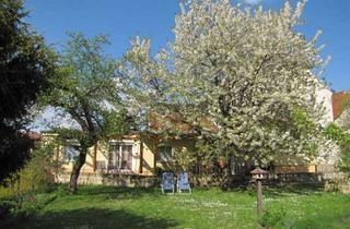 Wohnung mieten in 01454 Radeberg, Helle, gemütliche ebenerdige 2-RWg mit großer Terrasse in Radeberg, Tierhaltung möglich, Garten
