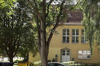 Wohnung mieten in Greppiner Straße 10, 06766 Bitterfeld-Wolfen, Renovierte Single-Wohnung in Wolfen