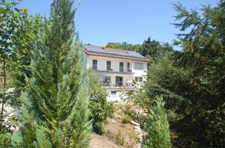 Haus kaufen in 93346 Ihrlerstein, Ein traumhafter Ausblick über das Donautal in Kelheim: großes Wohnhaus, sehr ruhig und schön gelegen