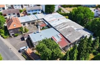 Gewerbeimmobilie mieten in 61137 Schöneck, Handwerk & Logistik – Industriehalle mit Freifläche in Schöneck
