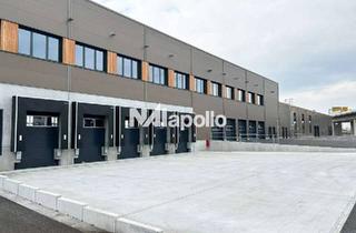 Büro zu mieten in 64295 Darmstadt-West, 4.300 m² Gesamtfläche – Halle & Büro | Andienung über Rampe & ebenerdig
