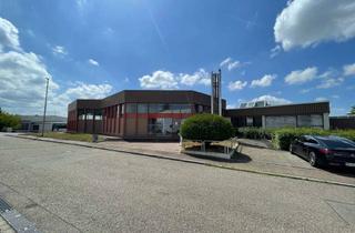 Büro zu mieten in 74211 Leingarten, Gewerbehallen mit Büro in Leingarten in erstklassiger Lage direkt an der B293