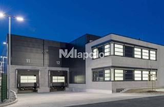 Büro zu mieten in 64331 Weiterstadt, 4.300 m² Gesamtfläche – Halle & Büro | Andienung über Rampe & ebenerdig