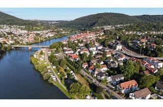 Anlageobjekt in 69151 Neckargemünd, Neckarblick, Bestlage!