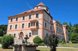 Anlageobjekt in 08648 Bad Brambach, Der Traum vom eigenem Schloss wird Wirklichkeit.