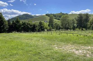 Grundstück zu kaufen in 77770 Durbach, Durbach - Traumgrundstück mit Weitblick und Bachlauf: Sonne und Platz für Ihr Zuhause!