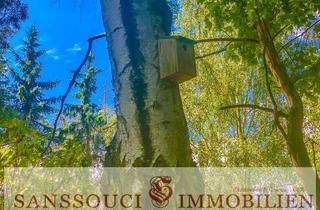 Grundstück zu kaufen in 16866 Kyritz, Wunderschönes Baugrundstück mit großzügiger Grünanlage