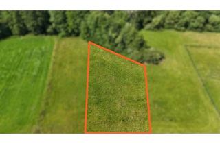 Grundstück zu kaufen in 36251 Ludwigsau, Acker- & Grünland bei Ludwigsau – über 2,4 ha zu verkaufen