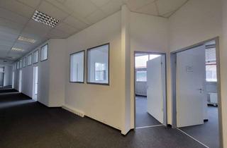 Gewerbeimmobilie mieten in Schatzbogen, 81829 München, BÜRO-/PRODUKTIONS Fläche 539 m² Erdgeschoss "81829 München Am Mossfeld"