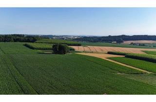 Gewerbeimmobilie kaufen in 84152 Mengkofen, 1,74 ha Ackerland bei Mengkofen zu verkaufen
