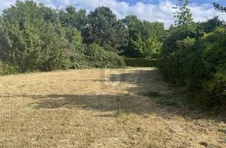 Grundstück zu kaufen in 76646 Bruchsal, SELTENE GELEGENHEIT FÜR KLEINES BUDGET