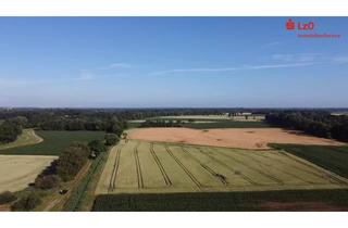 Grundstück zu kaufen in 26203 Wardenburg, Bestes Ackerland in Wardenburg