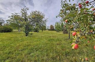 Haus kaufen in 74535 Mainhardt, Mainhardt - !! Landidylle pur !!