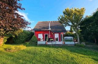Einfamilienhaus kaufen in 04827 Machern, Machern - Einfamilienhaus mit Traumgrundstück in 04827 Machern