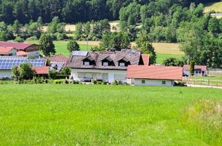 Mehrfamilienhaus kaufen in 93468 Miltach, Miltach - Mehrfamilienhaus