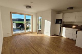 Wohnung mieten in 86655 Harburg, 1-Zimmer-Apartment mit Terrasse