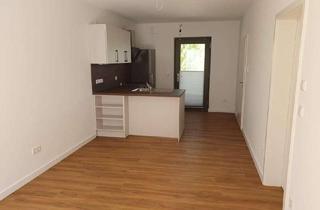 Wohnung mieten in Westheimer Straße 3 a, 34369 Hofgeismar, Sehr schöne 2-Zimmer-Wohnung im Herzen von Hofgeismar