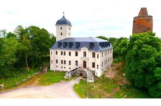Wohnung mieten in Neu Pouch, 06774 Pouch, Residieren im Schloss Pouch – Eleganz auf 129 m² direkt am Großen Goitzschesee