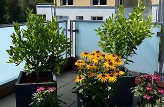 Penthouse mieten in 58313 Herdecke, *Exklusives Penthouse zur Miete*.. über den Dächern von Herdecke