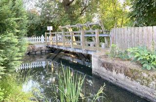 Einfamilienhaus kaufen in Mühlenstraße 24, 04808 Thallwitz, Ländlicher Charme mit viel Platz ... Gepflegtes Einfamilienhaus mit großem Grundstück in Thallwitz
