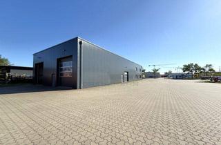 Geschäftslokal mieten in 18182 Bentwisch, 360 m² Warmhalle mit 3 Sektionaltoren, Werkstattgrube, Waschplatz m. Ölabscheider u. Fußbodenheizung