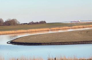 Haus kaufen in Ünner'n Diek 16, 25724 Neufeld, Wohntraum im Gartenparadies