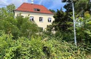 Haus mieten in 06886 Lutherstadt Wittenberg, Wohnhaus in bester Lage zu vermieten