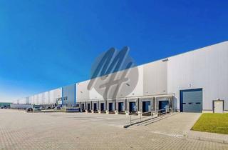 Büro zu mieten in 31319 Sehnde, KEINE PROVISION ✓ NEUBAU ✓ RAMPE + EBEN ✓ Lager-/Logistik (40.000 m²) & Büro (2.500 m²)