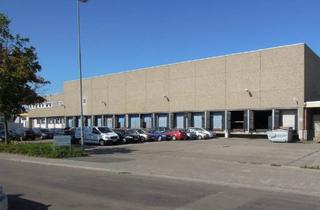 Gewerbeimmobilie mieten in 67133 Maxdorf, Lagerhalle mit guter Verkehrsanbindung, Deckenhöhe 10 m - HR 3963
