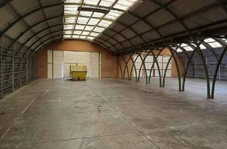 Gewerbeimmobilie mieten in 67125 Dannstadt-Schauernheim, 930 qm Hallenfläche mit Heizung in Dannstadt Schauernheim zu vermieten