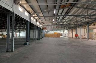 Gewerbeimmobilie mieten in 67125 Dannstadt-Schauernheim, Moderne Hallen (gesamt 7400 qm) mit Komplettausstattung in sehr guter Lage zu vermieten