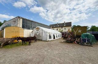 Grundstück zu kaufen in 61350 Bad Homburg, ** 7.000m² – Pferdehaltung, Vermietung und Gewerbefläche **
