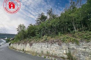 Grundstück zu kaufen in 97922 Lauda-Königshofen, Großzügiges Grundstückin Unterbalbach- ruhige Ortsrandlage mit Entwicklungspotential -