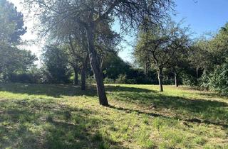 Gewerbeimmobilie kaufen in 95463 Bindlach, Gartengrundstück mit Obstbaumbestand in 95463 Bindlach zu verkaufen