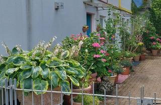 Wohnung mieten in Zum Kahlen Berg 11, 49545 Tecklenburg, Exklusive, sanierte 2-Raum-DG-Wohnung mit geh. Innenausstattung mit Balkon und EBK in Tecklenburg