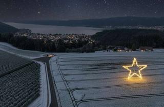Haus kaufen in 78351 Bodman-Ludwigshafen, Seltenes Hofensemble in exponierter Lage