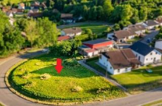 Grundstück zu kaufen in 88459 Tannheim, Ideal für großzügige Wohnkonzepte! Großes Baugrundstück in Tannheim