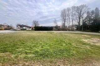 Grundstück zu kaufen in 88459 Tannheim, Top Anbindung an die A7/A96! Naturnahes Baugrundstück in Tannheim!
