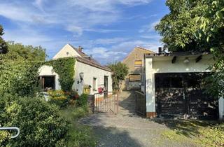 Einfamilienhaus kaufen in 04668 Grimma, Grimma - EFH zum Selbstverwirklichen in idyllischer Lage